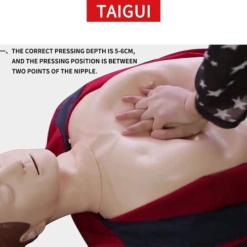 قزم التدريب - الكبار المحترفين - قزم الإنعاش - مجموعة قزم الجسم بالكامل لمستلزمات التدريب الطبي التعليمية in Kuwait