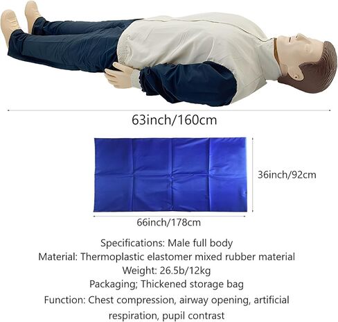 محاكاة الإنعاش القلبي الرئوي لكامل الجسم للبالغين، نموذج طبي للتدريب على الإسعافات الأولية، للتعليم والتدريس in Kuwait