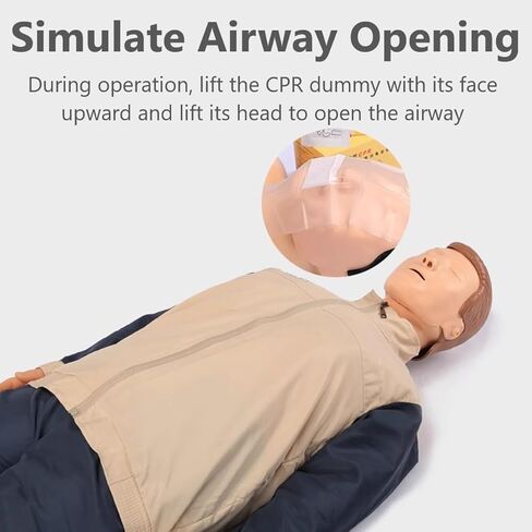 محاكاة الإنعاش القلبي الرئوي لكامل الجسم للبالغين، نموذج طبي للتدريب على الإسعافات الأولية، للتعليم والتدريس in Kuwait