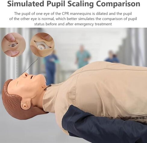 محاكاة الإنعاش القلبي الرئوي لكامل الجسم للبالغين، نموذج طبي للتدريب على الإسعافات الأولية، للتعليم والتدريس in Kuwait