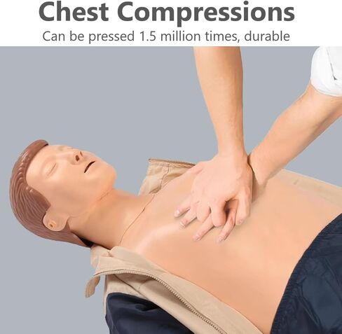 محاكاة الإنعاش القلبي الرئوي لكامل الجسم للبالغين، نموذج طبي للتدريب على الإسعافات الأولية، للتعليم والتدريس in Kuwait