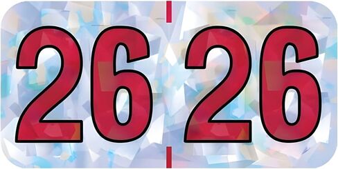 2025 Year Labels, Doctor Stuff 2025 Chart Stickers, Holographic Silver Colored, USA Made Year Labels for End Tab File Folders, Holo Series, 500 Labels per Roll, 1 Roll, 3/4" x 1-1/2" in Kuwait