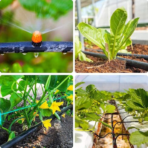 50 قطعة من أدوات توصيل الري بالتنقيط الشائكة من Jayee (17 مم) لخرطوم التنقيط 1/2 بوصة (معرف 0.600 بوصة)، موصل أنابيب الرش لنظام التنقيط in Kuwait