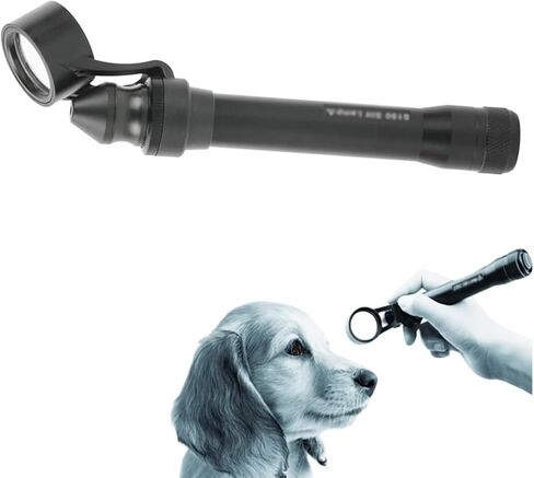 مجهر المصباح الشقي، مجهر المصباح الشقي المحمول LED، تكبير 5X، شق قابل للتعديل، معدات طب العيون لمستشفيات الحيوانات الأليفة، طب العيون، المختبر، المدارس in Kuwait