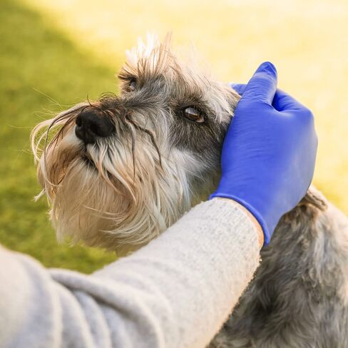 1000 Pack Tronex Nitrile Chemo Exam Gloves ASTM Nitrile Disposable Tronex Gloves Medical Grade Chemical Resistant (Medium) in Kuwait