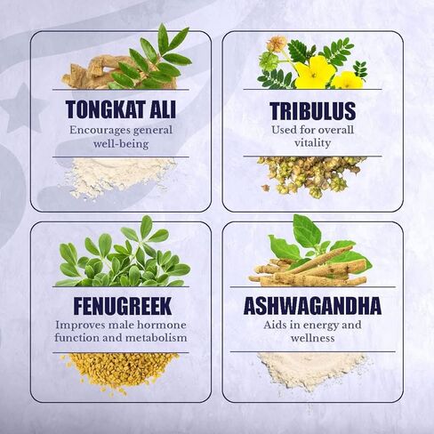 T-Forge - Energy and Mood Support - Supplements for Men with Tongat Ali, Folic Acid, L-Arginine, Tribulus Terrestris - 60 Capsules in Kuwait