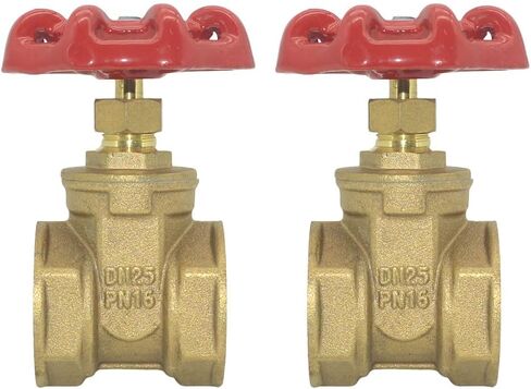 DAN SPEED NPT Brass Heavy Duty Gate Valve, Heavy Duty Female Thread Manual Rotary Sluice Valve (1 inch) in Kuwait