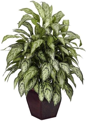 Nearly Natural Silver Queen with Decorative Planter Silk Plant in Kuwait