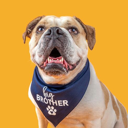 Big Brother with Heart Paw Baby Announcement Dog Bandana (Brown, OS 87) in Saudi Arabia