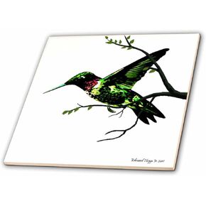 بلاط سيراميك 3dRose ct_21809_2 Hummingbird Highway I، 6 بوصة in Kuwait