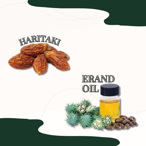 Erand Bhrusht Haritaki Tablet (Gandharva Haritaki) – Ayurvedic Digestive & Bowel Support Formula, 100 Tablets in Saudi Arabia