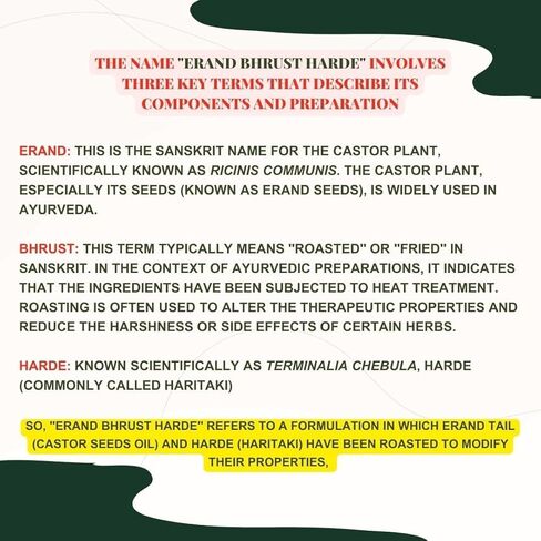 Erand Bhrusht Haritaki Tablet (Gandharva Haritaki) – Ayurvedic Digestive & Bowel Support Formula, 100 Tablets in Saudi Arabia