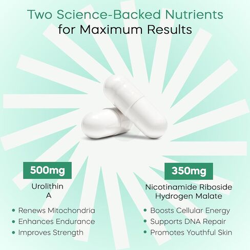 Urolithin A + NAD+ Supplement – 500mg Urolithin A + 350mg Nicotinamide Riboside (NAD+) – Mitochondrial Support, Cellular Energy, Longevity & Healthy Aging – 60 Capsules in Saudi Arabia