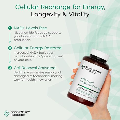 Urolithin A + NAD+ Supplement – 500mg Urolithin A + 350mg Nicotinamide Riboside (NAD+) – Mitochondrial Support, Cellular Energy, Longevity & Healthy Aging – 60 Capsules in Saudi Arabia