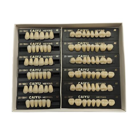 168Pcs Dental Acrylic Resin Denture Tooth Kit False Tooth for Halloween Horror Prop 23 A3 SS4 M(28 Pcs/3Set/2Box) in Saudi Arabia