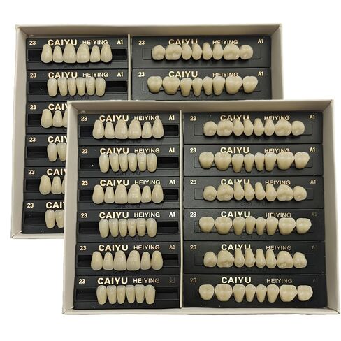 168Pcs Dental Acrylic Resin Denture Tooth Kit False Tooth for Halloween Horror Prop 24 A2 SS3 S(28 Pcs/3Set/2Box) in Saudi Arabia