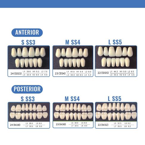 168Pcs Dental Acrylic Resin Denture Tooth Kit False Tooth for Halloween Horror Prop 24 A2 SS3 S(28 Pcs/3Set/2Box) in Saudi Arabia