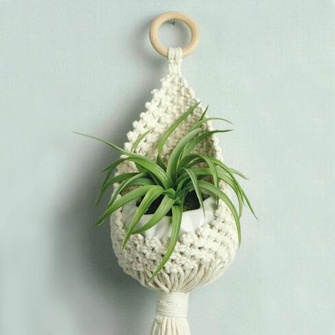 مجموعة الفنون الترفيهية Macrame Kit Mini Planter Set ، DIY Plant Hanger Kit للبالغين المبتدئين in Saudi Arabia