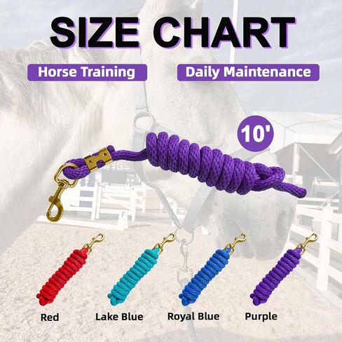 5/8" x 8' Horse Lead Rope, Durable Nylon Lead Ropes for Horses with Resistant Brass Hardware Daily Use, Training Showing (Purple) in Saudi Arabia