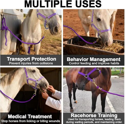 5/8" x 8' Horse Lead Rope, Durable Nylon Lead Ropes for Horses with Resistant Brass Hardware Daily Use, Training Showing (Purple) in Saudi Arabia