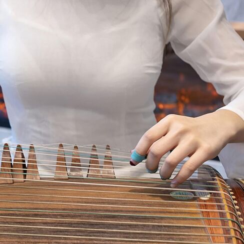 Professional Guzheng Nails Horn Finger Protectors for Guzheng Beginners Guqin Instrument (Large) in Saudi Arabia
