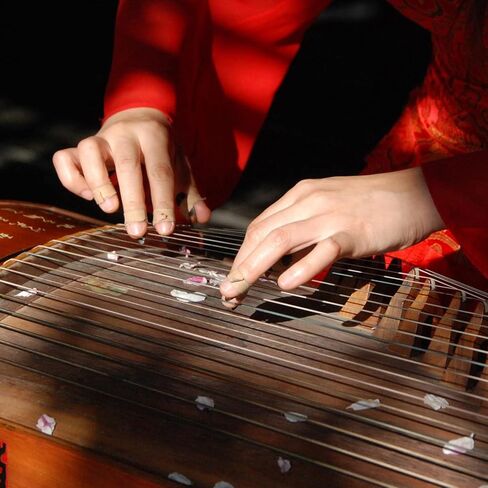 Professional Guzheng Nails Horn Finger Protectors for Guzheng Beginners Guqin Instrument (Large) in Saudi Arabia