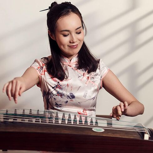 Professional Guzheng Nails Horn Finger Protectors for Guzheng Beginners Guqin Instrument (Large) in Saudi Arabia
