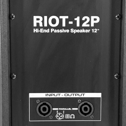 Seismic Audio - Riot-12P-Pair - Pair of 12 Inch Passive 2-Way 800 Watt PA/DJ Speaker Cabinets in Saudi Arabia