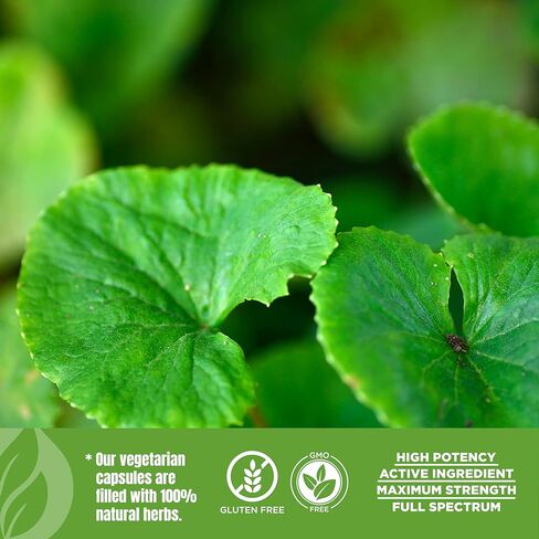 Herbsforever Gotu Kola (Centella Asiatica)-Extra Strength(10:1) Extract Equiv. to 4300 mg Leaves & Plant Powder Per Serving Support Cognitive,Memory Focus,Calm,Skin |60Veg Capsules|800mg|Adaptogen in Kuwait