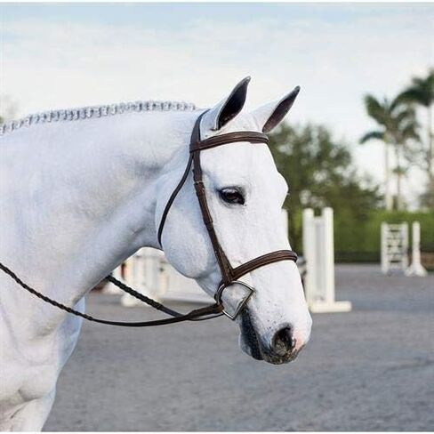 دوفر سادليري Single Crown Hunter Bridle، COB-C/S، Oakbark in Saudi Arabia