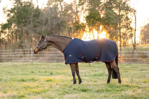 TuffRider Waffle Weave Cooler Standard Neck in Saudi Arabia