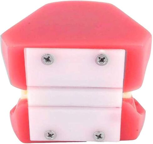 Teeth Orthodontics Dental Demonstration Model, Teach Study Tools with Metal and Ceramic Stand in Saudi Arabia