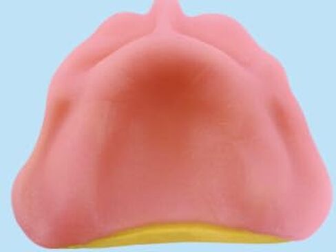 Dental Creations, Ltd. - Wonder Light Cure Tray in Kuwait