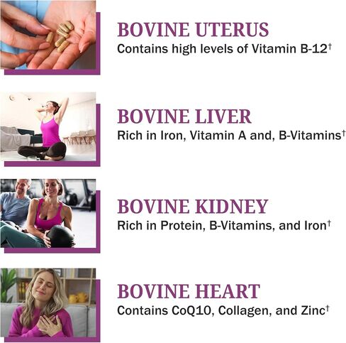BioSchwartz Primal Beef Organ Supplement for Women - 60 Capsules - Grass-Fed & Pasture-Raised - Supports Healthy Hair Skin and Nails, Hormone Balance - with Bovine Liver, Kidney, Heart, Uterus Powder in Kuwait