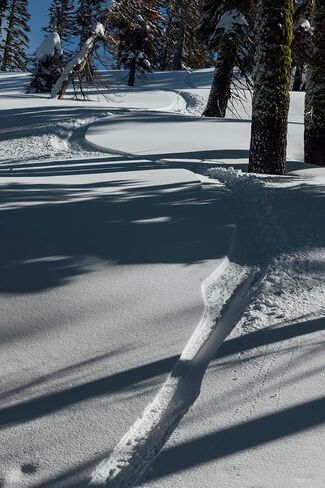 Java Javanator Snowboard, 143-165cm, Swallowtail Fish Design, Powder, All Mountain in Kuwait