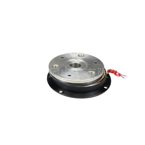 DZD5-320B 320NM 60W 24V Single Chip Electromagnetic Brake 5KW(DZD5-320B Shaft 50mm) in Saudi Arabia