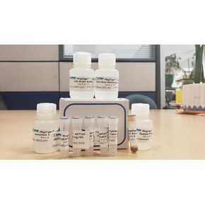 NEOBI™ – HER2 Nanoparticle Enhanced On-Bead Elisa Immunoassay kit, 96 assays in Saudi Arabia