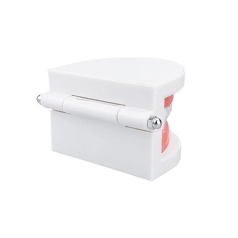 Standard Teeth Model, YOUYA DENTAL Kids Dental Teeth Teaching Brushing Model Teeth Study Supplies Adults Standard Typodont Demonstration Teeth Model (No Wisdom Teeth) in Kuwait