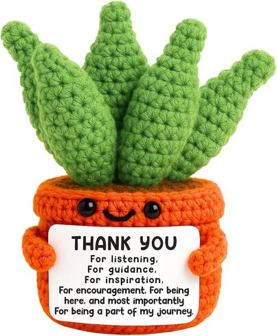 Positive Crochet Aloe Vera Emotional Crochet Plant Graduation Teacher Appreciation Thank You Gifts for Women Mom Little Reminder Inspirational Gift for Friend Coworkers Funny Sunflower in Kuwait