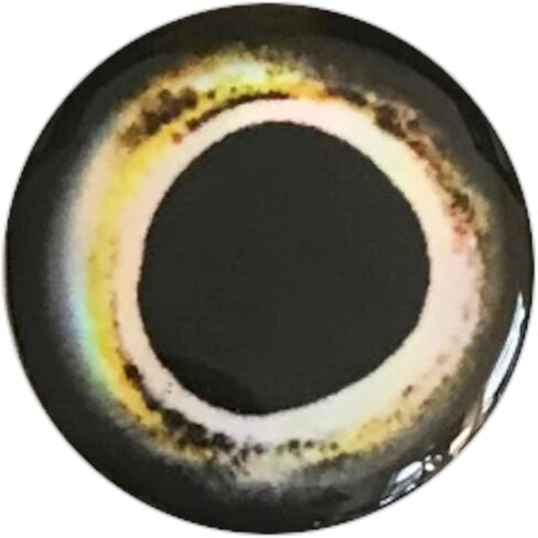 Brule 3-D Holographic Epoxy Fish Eyes (5mm-20mm) 60 Pack, Handpoured, Fishing Fly Tying Lures DIY Crafts in Saudi Arabia