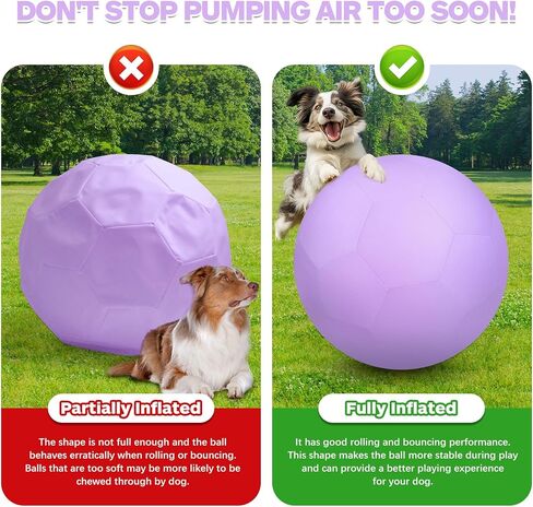 25 "كرة رعي للكلاب والخيول ، لعبة كلب مقاوم للماء متين ، كرة ثنائية للحيوانات الأليفة تفاعلية كبيرة للرياح الأسترالية ، كلاب الماشية ، كوليس ، وجميع سلالات الرعي (أرجواني) in Kuwait