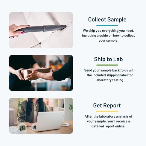 مجموعة اختبار الحساسية الداخلية الأساسية من SimpleLab | الاختبارات المعملية للمواد المسببة للحساسية عند الكلاب والقطط وعث الغبار | سهولة أخذ العينات بالمكنسة الكهربائية في المنزل للتحليل المعملي in Kuwait