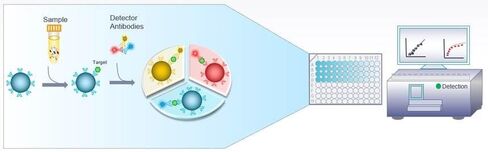 NEOBI™ – HER2 Nanoparticle Enhanced On-Bead Elisa Immunoassay kit, 96 assays in Saudi Arabia