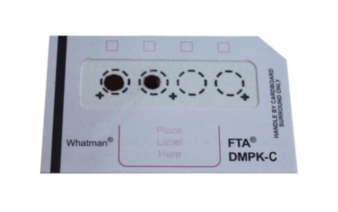 GE Whatman FTA WB129243 DMPK-C Cards for Dried Blood Spot (DBS) DNA Analysis and Archiving (Pack of 100) in Saudi Arabia