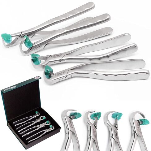 Dental Extraction Forceps Molar Atraumatic Set 4 Pcs Standard Series with Silicone Bumpers Stainless Steel Dental Tools for Dentists (Standard Series) in Saudi Arabia