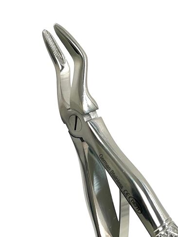 ملقط قلع الأسنان ملقط قلع DEFH العالمي ملقط قلع الأسنان أدوات طب الأسنان in Kuwait