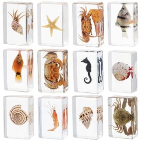 12 Pcs Real Ocean Animal & Insect Specimens in Resin - Educational Science Display Collection with 12 Unique Styles - Perfect for School Projects, Bug Collectors & Home Decor in Kuwait