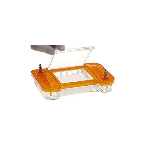 E201-2 EZ-Agarose Mini Gel Cassette, 10 Wells, 2.0% Agarose, TBE Buffer, EB Dye (Pack of 10) in Saudi Arabia