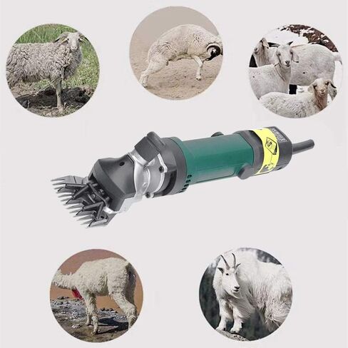 مقصات الأغنام iproods، ماكينة قص الأغنام الكهربائية الاحترافية بقدرة 750 وات مع 6 سرعات، مجموعة أدوات قص الماشية في المزرعة مناسبة للحيوانات ذات المعطف السميك مثل الأغنام والألبكة والماعز (تأتي مع شفرات احتياطية) in Kuwait
