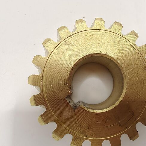 Worm Gear 20T Compatible with MTD CUB Cadet Craftsman Snowblowers 40 42 91704861 9170528 9180528a 71704449 7170528 7170528A 6180528 2002 2003 2004 2005 240303 in Saudi Arabia